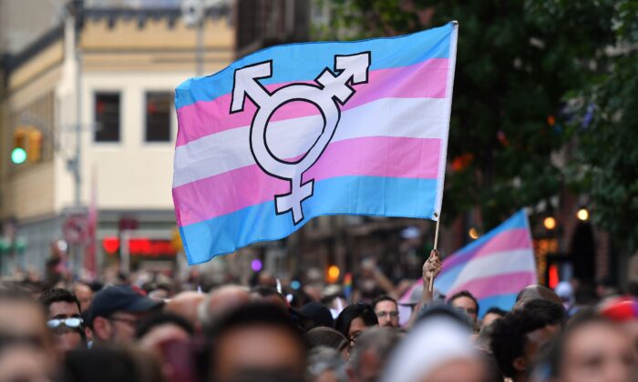 Transgender Flag in Protest